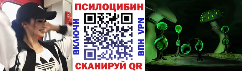 Псилоцибиновые грибы MAGIC MUSHROOMS Сальск